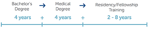Bachelor's degree - 4 years; Medical degree - 4 years; Residency/Fellowship training - 2 - 8 years